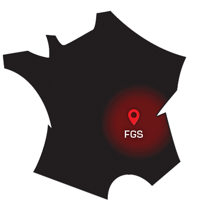 FGS (2)